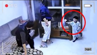 Photo of Такого НИКТО не Ожидал! Эти Видео Повезло Заснять на Камеру