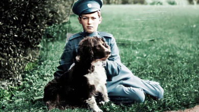 Photo of Джой — любимец цесаревича
