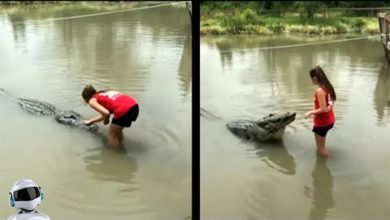Photo of Посмотрите, что Бывает! Эти Видео Повезло Снять на Камеру