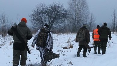 Photo of Патрулирование охотничьих угодий усилено в Алтайском крае