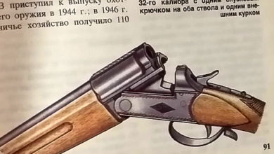 Photo of Загогулина Оленя с парадоксом