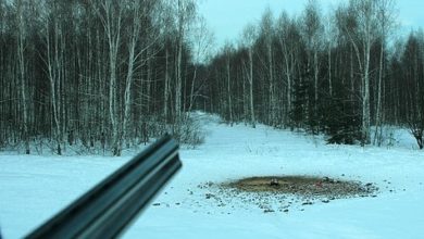 Photo of Охотпользователям установят новые госпошлины по обороту оружия