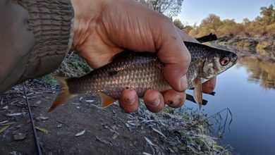 Photo of Пока не затвердела вода