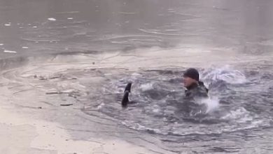 Photo of Репортаж из-под первого льда