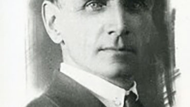 Photo of Кто кого сборет — слон или кит?