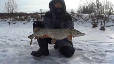 Photo of Трофей малой реки!!!