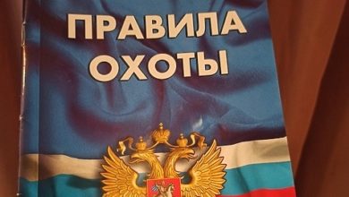 Photo of Министр: у нас безобразна вся система охоты