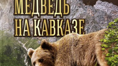 Photo of А.Н.Кудактин. Бурый медведь на Кавказе