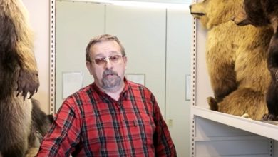 Photo of Решил записать две мои лекции о медведях