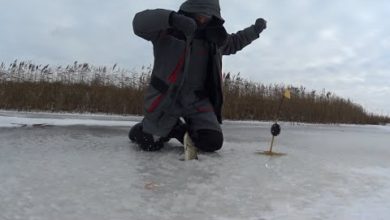 Photo of Удалось найти окуня! Разловил жерлицы в новом сезоне!