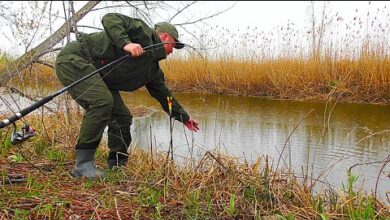 Photo of ЗАКИНУЛ ДОНКУ В НЕБОЛЬШОМ ЕРИКЕ И…! Я такую ВОБЛУ НЕ ВИДЕЛ!!!