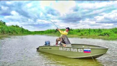 Photo of КРОВЬ СТЫНЕТ ОТ ТАКИХ ТОРПЕД! РЫБАЛКА В ДИКИХ МЕСТАХ.