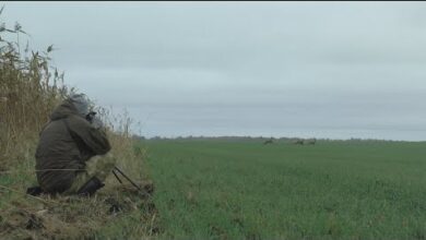 Photo of ОХОТА НА КОСУЛЮ С ПОДХОДА